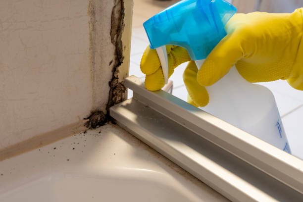 Crossville, AL Mold Remediation Company