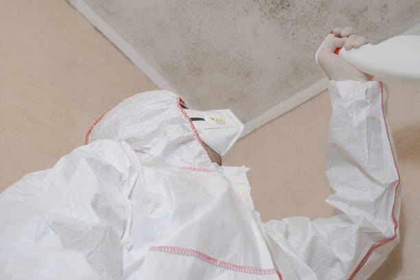 Best Commercial Mold Remediation in Crossville, AL