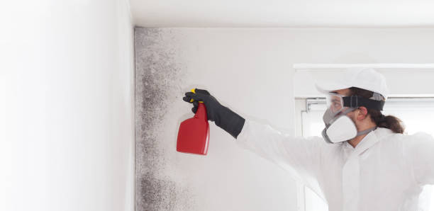 Trusted Crossville, AL Mold Remediation Experts