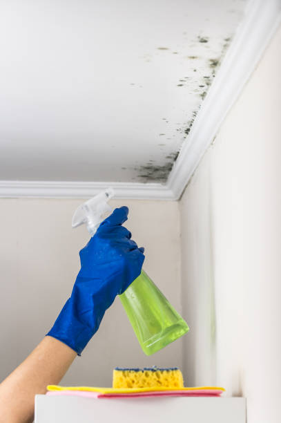 Best Mold Testing and Inspection Services in Crossville, AL